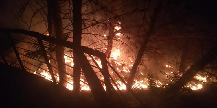 Paura a Contursi Terme, vasto incendio distrugge la pineta