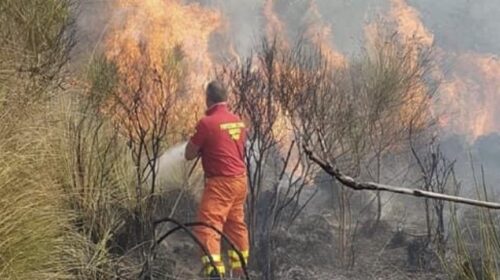 Incendi, Salerno e provincia ostaggi dei piromani: roghi in aumento