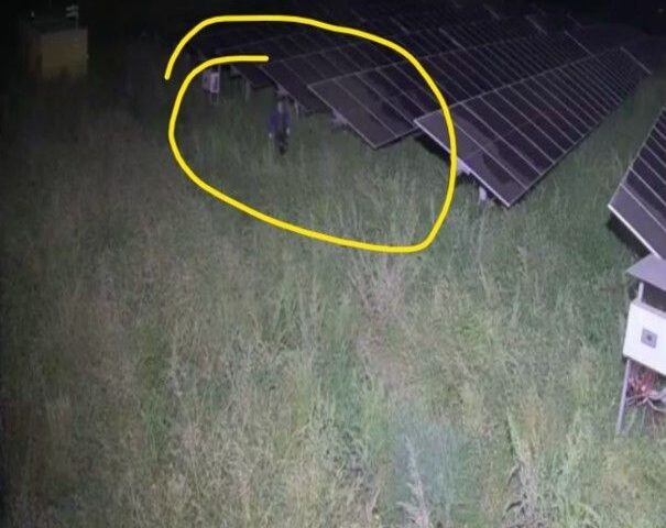Altavilla, tentato furto in un’azienda di fotovoltaici: Guardie Sicuritalia mettono in fuga i ladri