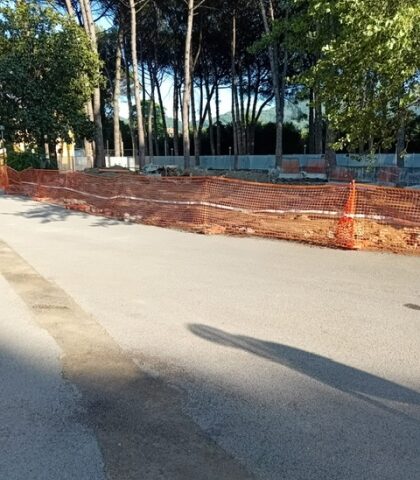 Ospedale di Mercato San Severino, Romano: “Si abbattono alberi secolari nel giardino, uno scempio ambientale”